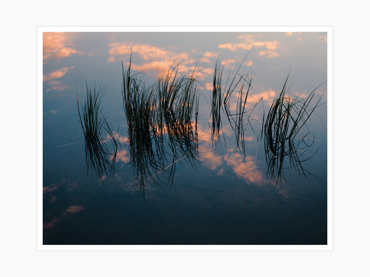 Max Schiefele Alle Bilder  DSF1234